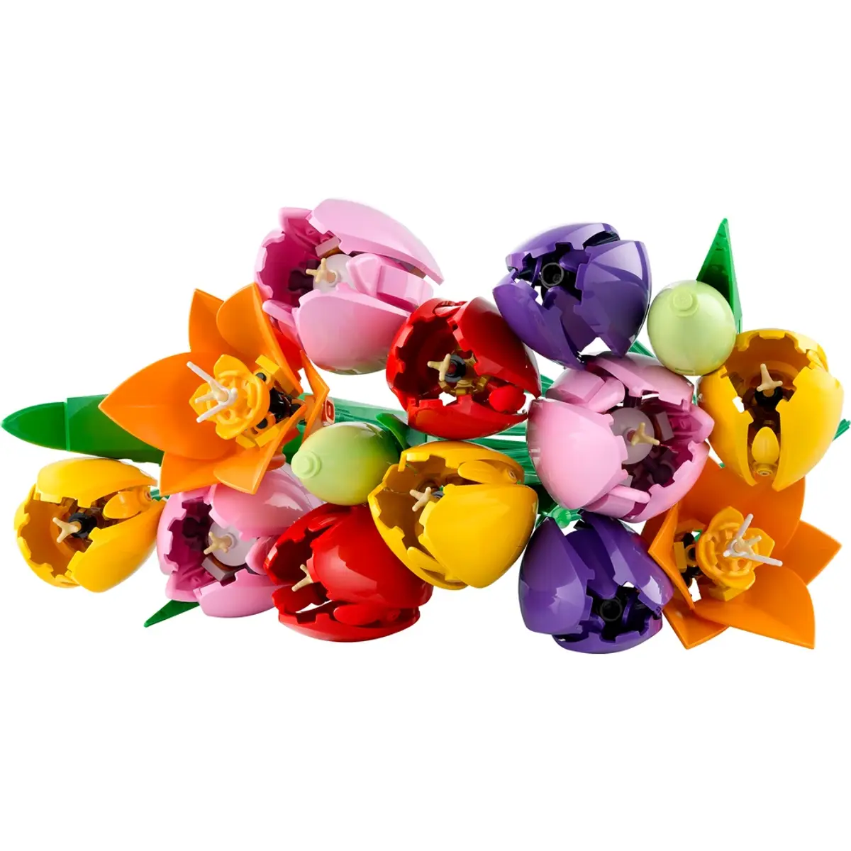 LEGO Botanicals Le Bouquet de Tulipes 11501, coloris Multicolore, vue de face