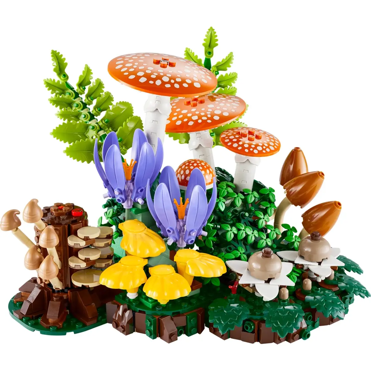 LEGO Botanicals Les Champignons des Bois 11505, coloris Multicolore, vue de face