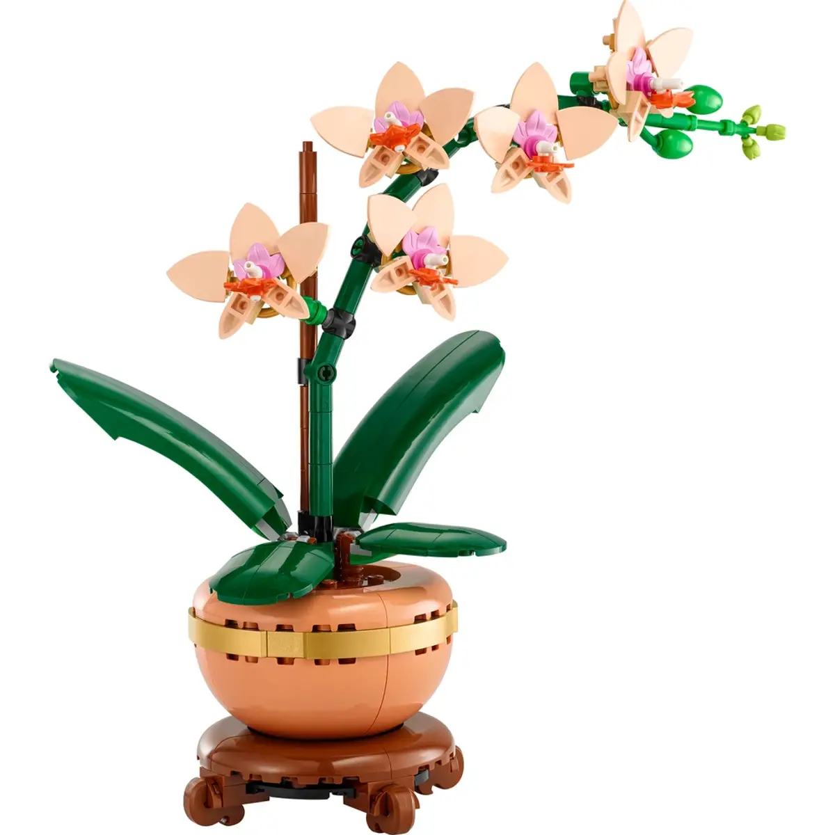 LEGO Botanicals Mini Orchidee 10343, coloris Multicolore, vue de face