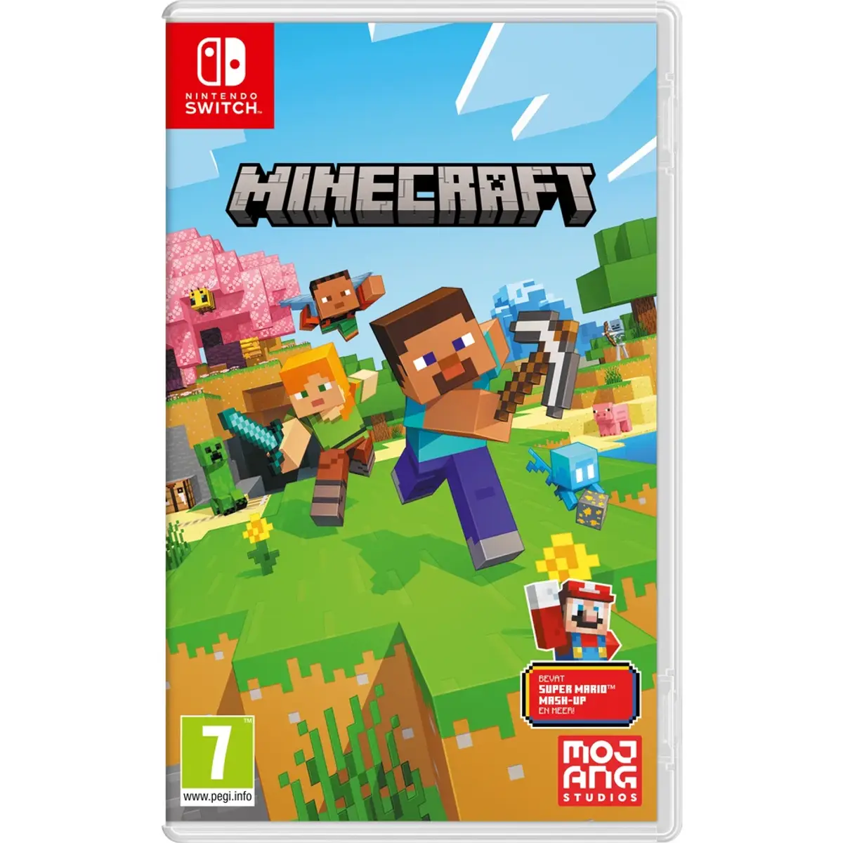 Nintendo Minecraft Nintendo Switch, vue de face
